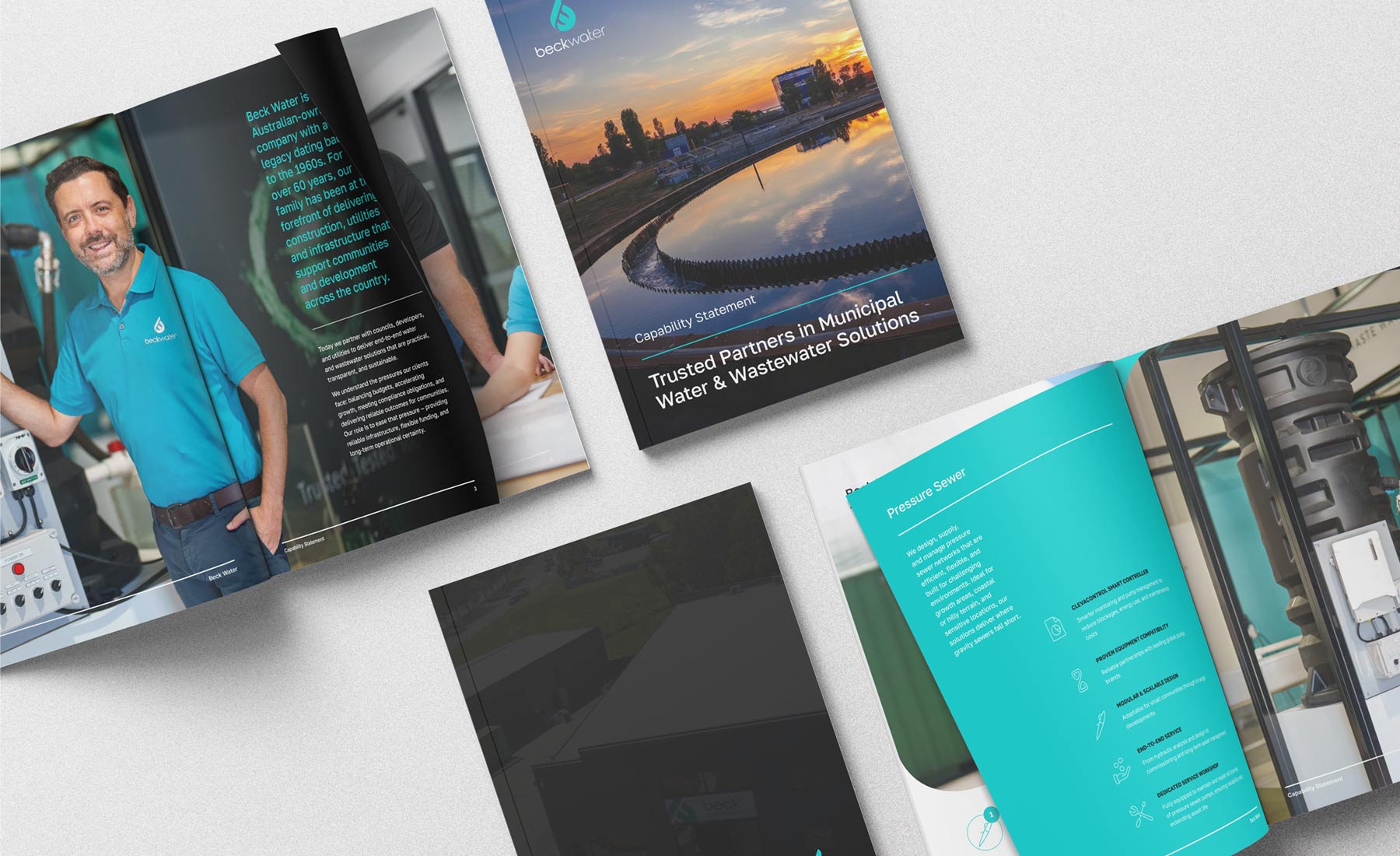 Beck Water Capability Statement